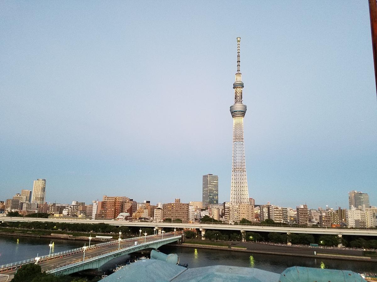 Superior Double Room with Sky Tree View