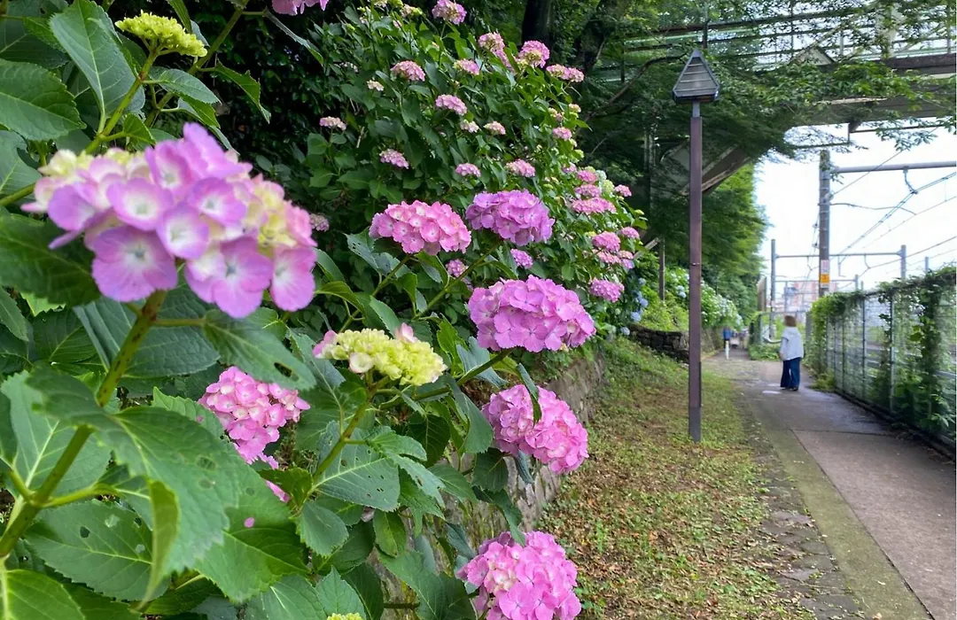 Bisk Park Higashi-Jujo-1