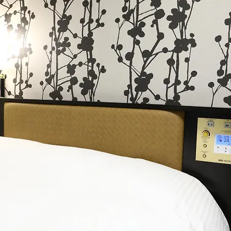 Apa Hotel Nihombashi Bakurocho Ekimae-3