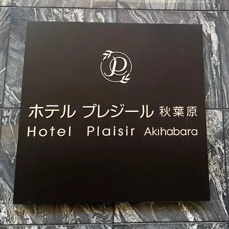 Hotel Plaisir Akihabara-3