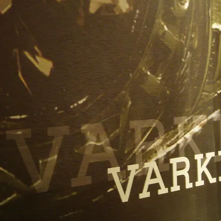 Hotel VARKIN-3