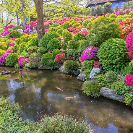 The Westin Tokyo-3