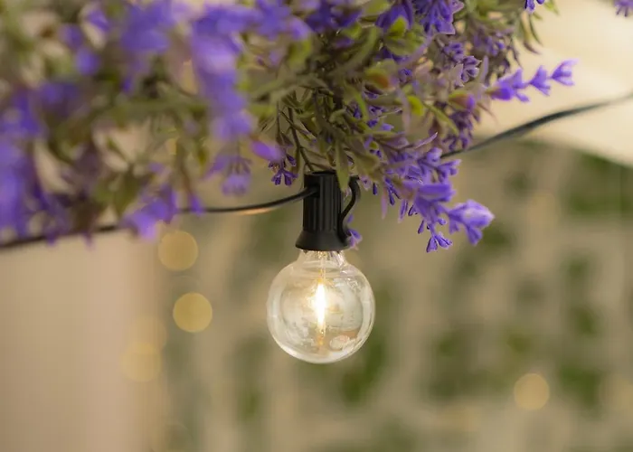 Appartamento Jellynehouse新大久保 Tokyo che accetta animali