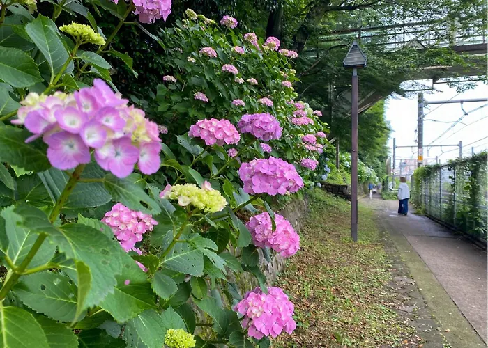 ホテル Bisk Park Higashi-Jujo 東京都