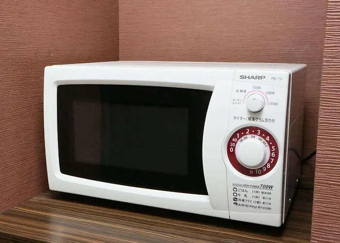 Apa Hotel Asakusa Kaminarimon Tokio