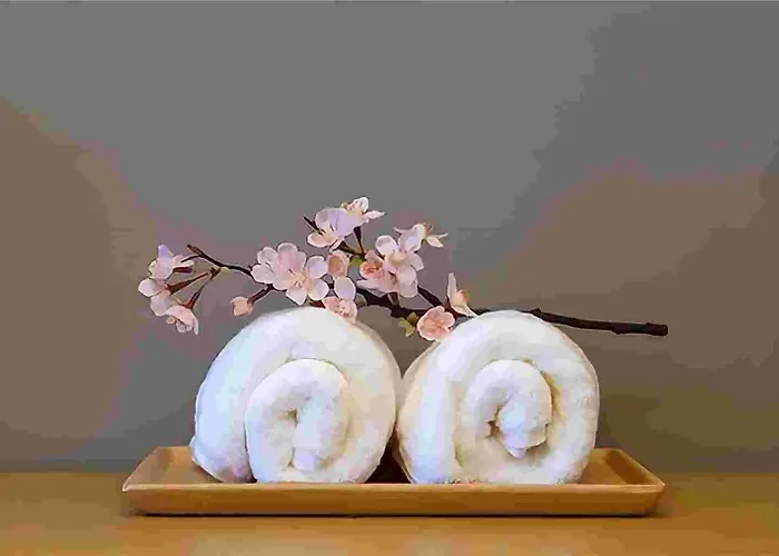 Tokyo Cherry Blooming Hotel Ueno 东京超级中心上野公园3分钟 地铁1分钟 位置绝佳超级繁华 免费wifi Dyson吹风机cob