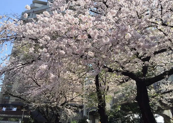 Building A101 / Vacation Stay 1274 Tokyo
