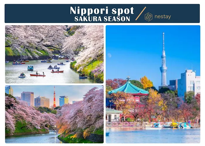 Nestay Apartment Tokyo Nippori admite animales