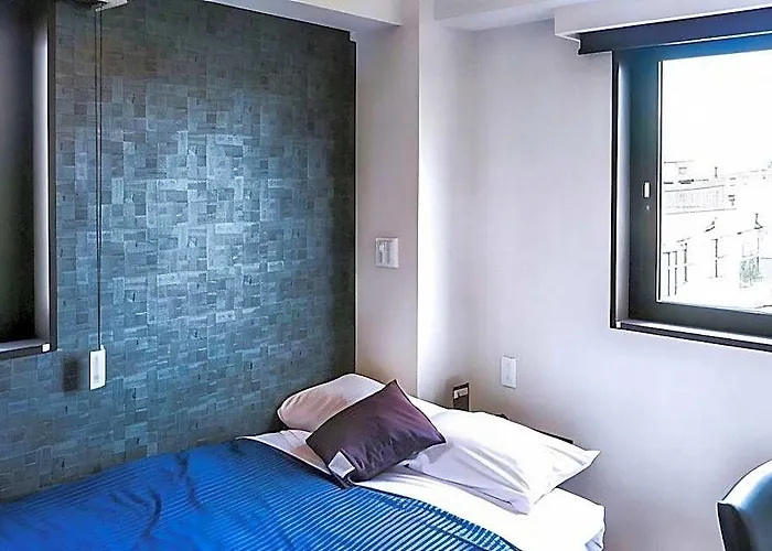 Hotel Livemax Shinjuku Kabukicho-Meijidori 東京都