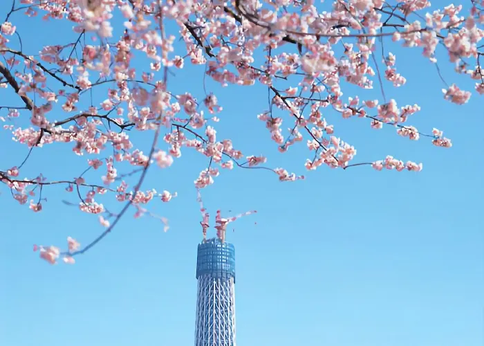 Kkr Hotel Tōkyō acceptant les animaux