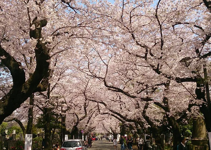 Namio Apartment 201 Tokio