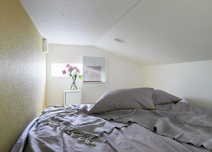 P O In T - 3Br Villa - Ikebukuro Tokyo privato